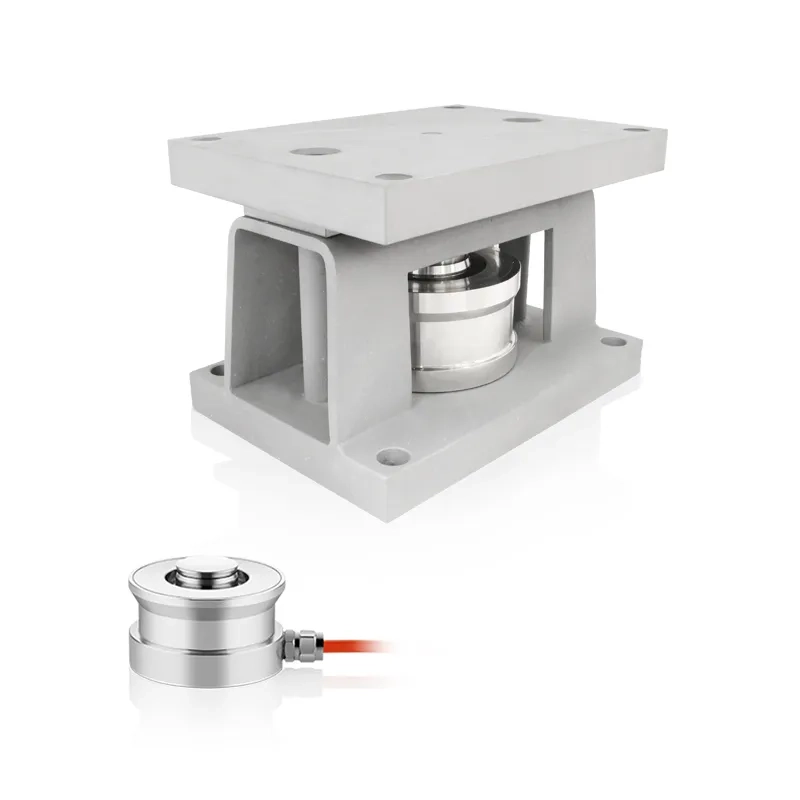 LECH Module de Pesage à Anneau de Grande Capacité