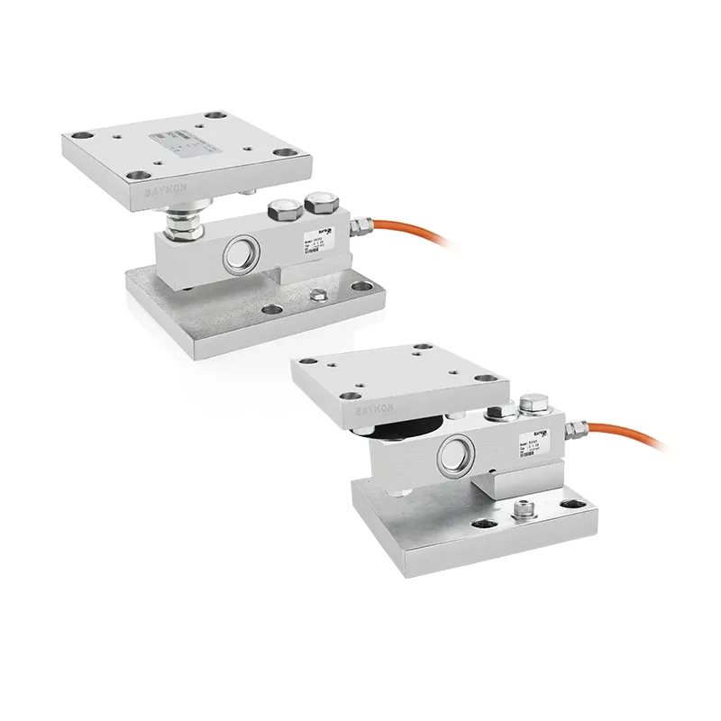 LEB/FT-FTM Module de Pesage Pour Les Types de Poutres