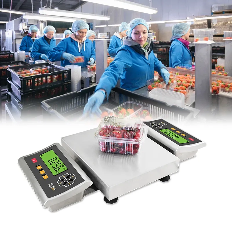 Tischwaagen der Serie BCS304