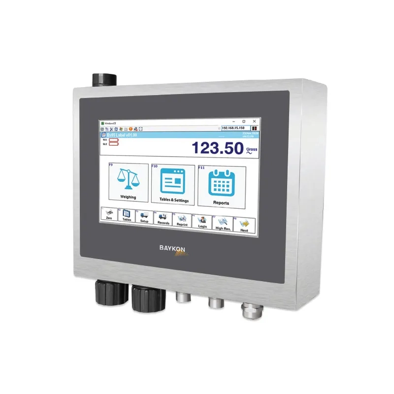 BX65B Wägeterminal