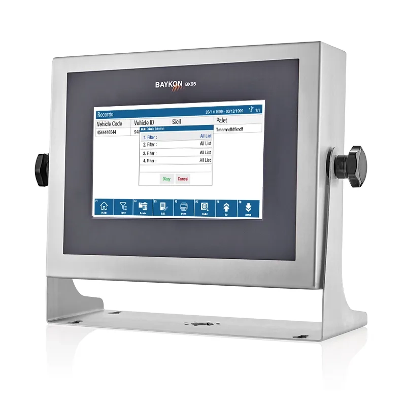 BX65 Weighing Terminal