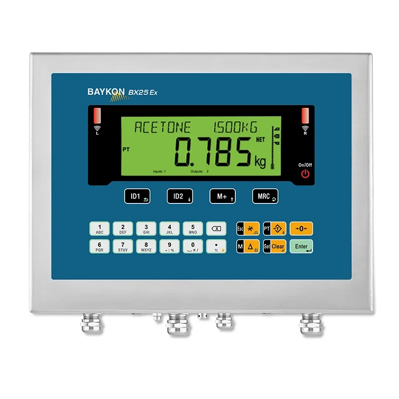 Terminal de pesage BX25 Ex2/22