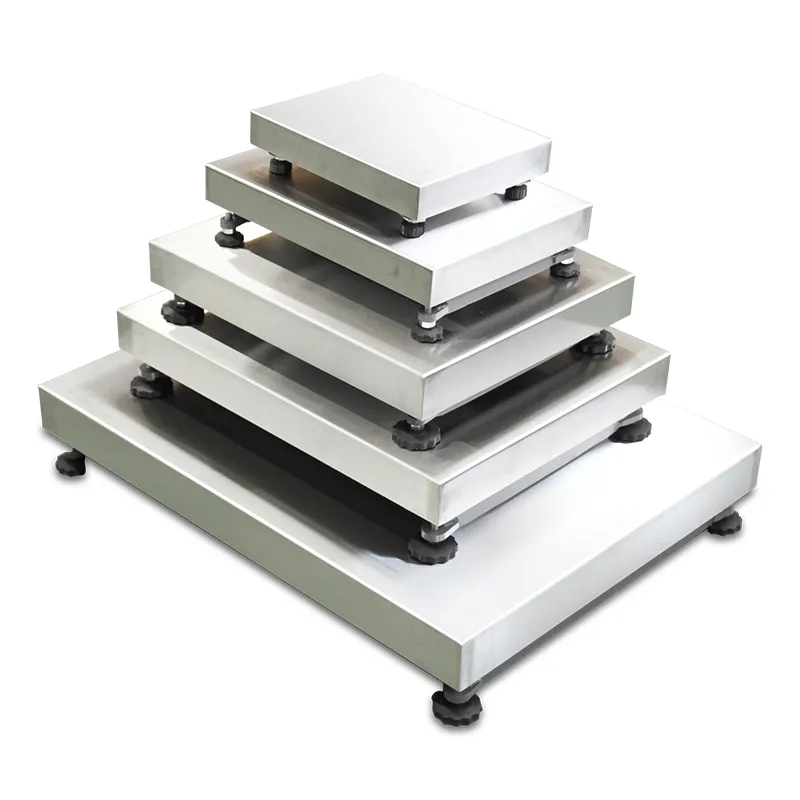 BT Series Bench and Stand Scales