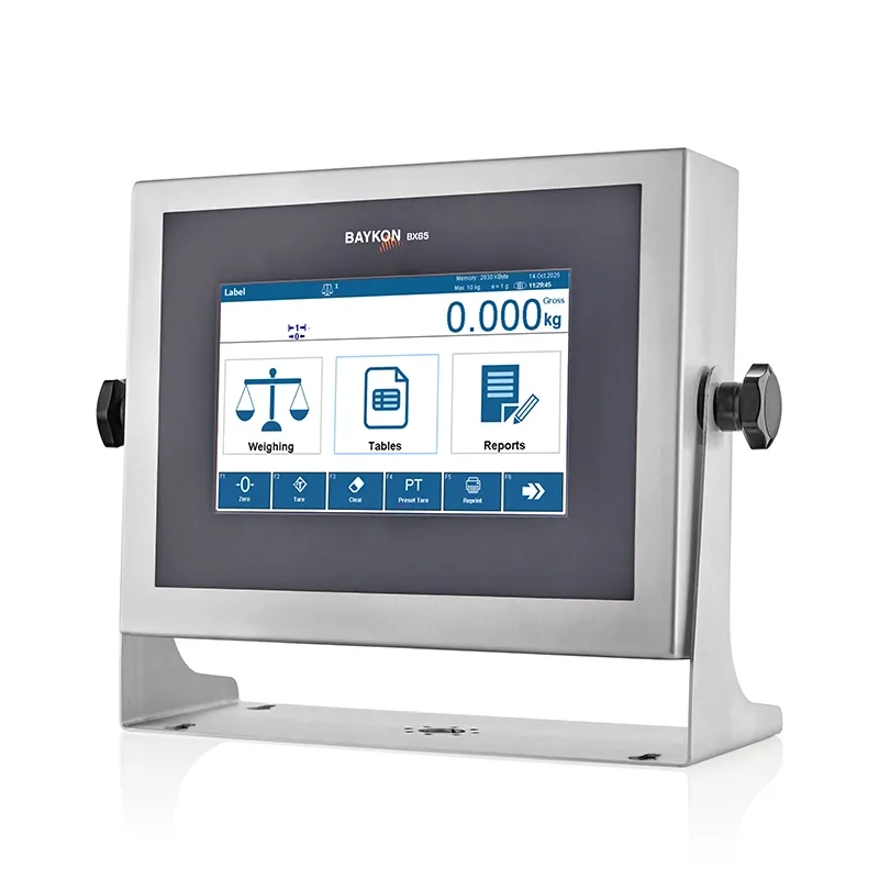BX65HPlus Weighing Terminal
